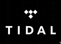 Tidal 日本で使う